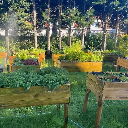 Pavillon Du Zoute Knokke-Heist