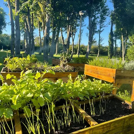 Hotel Pavillon Du Zoute