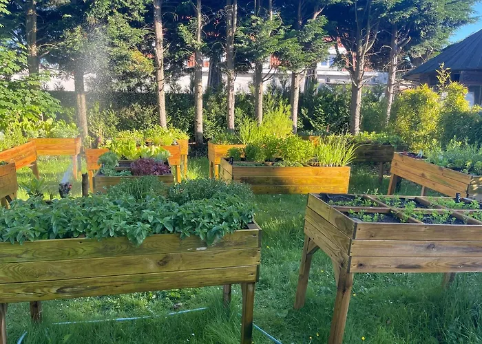 Pavillon Du Zoute Knokke-Heist