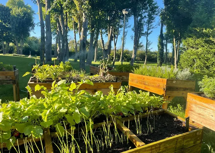 Hotel Pavillon Du Zoute